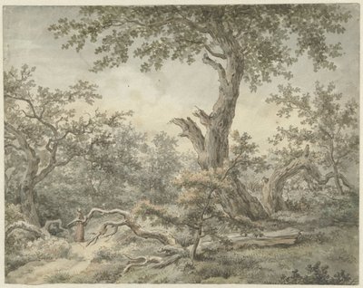 Paysage forestier - Cornelis Buys