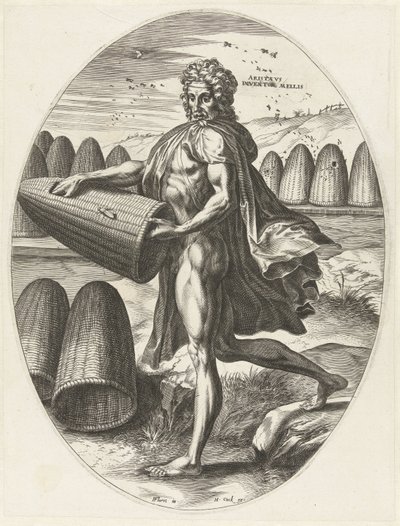 Aristée - Cornelis Cort