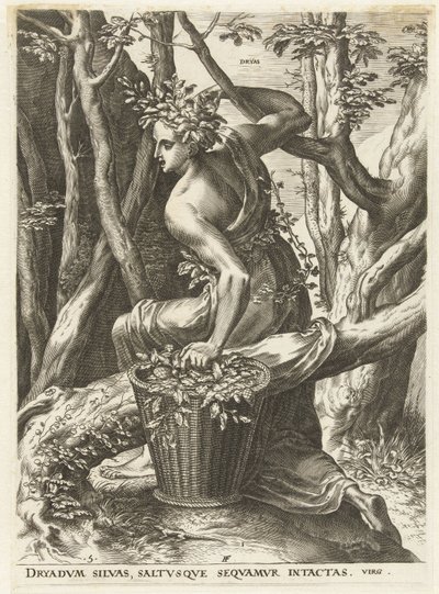 Dryas - Cornelis Cort