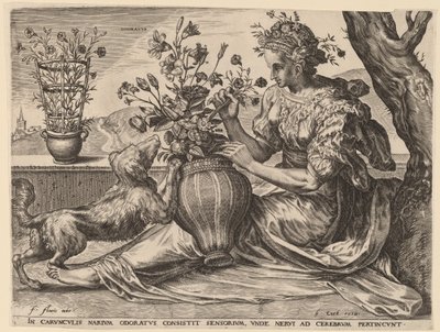 Odoratus - Cornelis Cort after Frans Floris I