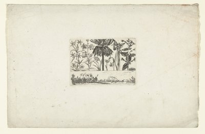 Rangée de fleurs au-dessus d