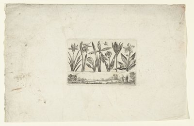 Rangée de fleurs au-dessus d
