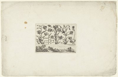 Rangée de fleurs au-dessus d