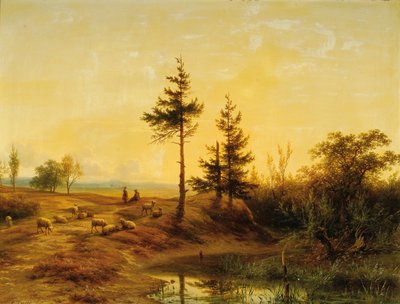 Un vaste paysage de lande - Cornelis Lieste