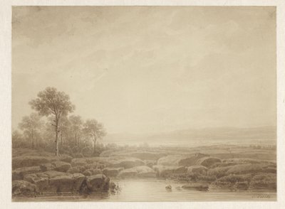 Paysage avec rochers près de l