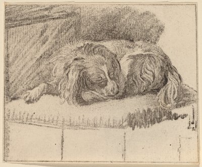 Chien couché - Cornelis Ploos van Amstel
