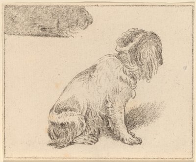 Chien Assis - Cornelis Ploos van Amstel