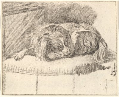Chien endormi, 1777 - Cornelis Ploos van Amstel