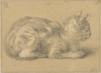 Chat assis, vers la droite - Cornelis Saftleven (possibly)