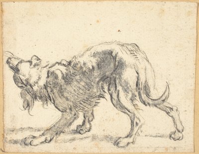 Un chien - Cornelis Saftleven