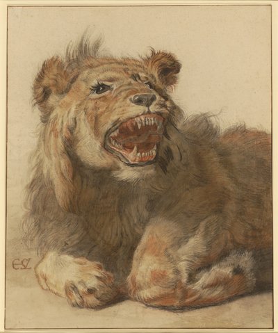 Un lion grondant, vers 1625-33 - Cornelis Saftleven