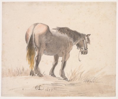 Cheval Debout sur une Butte - Cornelis Saftleven