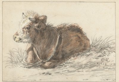 Veau couché, vers la gauche - Cornelis Saftleven