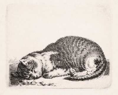 Chat dormant, vers 1607-81 - Cornelis Saftleven