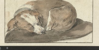 Chien dormant - Cornelis Saftleven