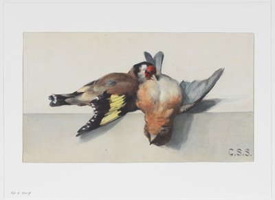 Nature morte avec deux oiseaux morts - Cornelis Samuel Stortenbeker