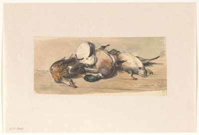 Nature morte avec quatre canards - Cornelis Springer