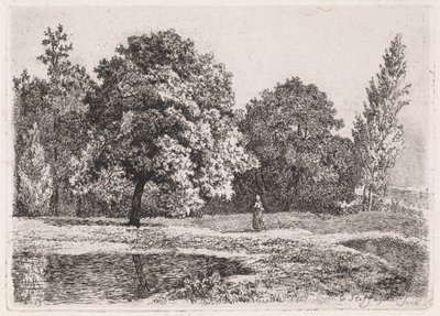 Paysage avec arbres, lac et femme (Cinquième suite) - Cornelis Steffelaar