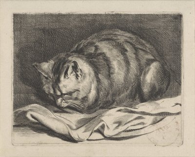 Petit chat - Cornelis Visscher (II)