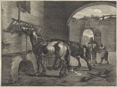 Écurie - Cornelis Visscher (II)