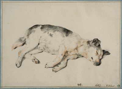  - Cornelis Visscher