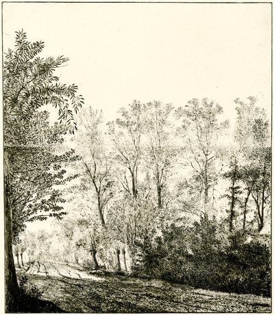 Sentier à travers une forêt - Hendrick Cornelisz. Vroom