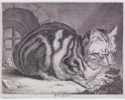 Le grand chat - Cornelis de Visscher