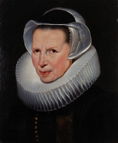  - Cornelis de Vos