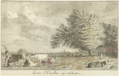 Vaches dans un pré - Cornelis van Noorde