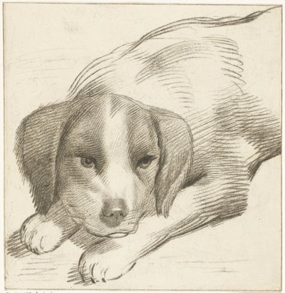 Chien couché - Cornelis van Noorde