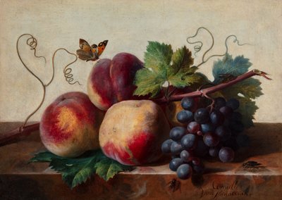 Nature morte de pêches et de raisins sur une table en marbre avec un papillon et d