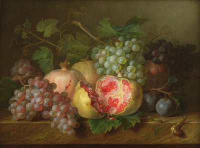 Nature morte de grenades, raisins et prunes sur une corniche en marbre (panneau) - Cornelis van Spaendonck