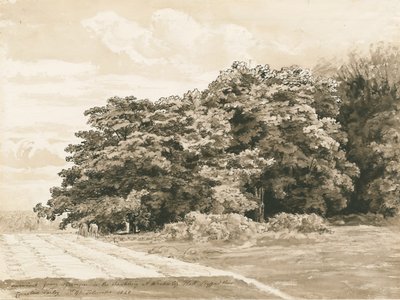 Wrottesley Hall - Le Bosquet: dessin sépia, 1820 - Cornelius Varley