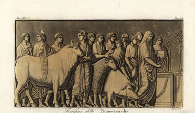 Cérémonie de sacrifice romaine suovetaurilia - Corsi Corsi