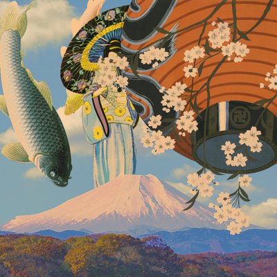 Sakura Koi Fuji Dream - CosmoZach