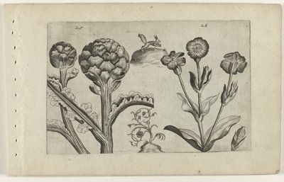 Artichaut et saponaire - Crispijn van de Passe (I) (attributed to)