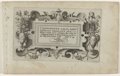 Page de titre et onze gravures de fleurs, plantes et fruits - Crispijn van de Passe (I) (attributed to)