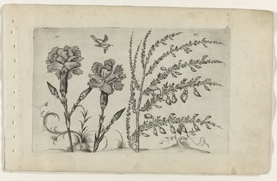 Œillet et genêt - Crispijn van de Passe (I) (attributed to)