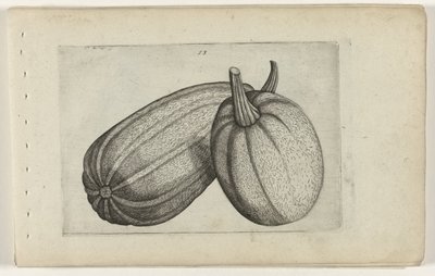 Deux melons - Crispijn van de Passe (I) (attributed to)