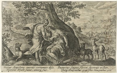 Apollon et Hyacinthe (Métamorphoses d