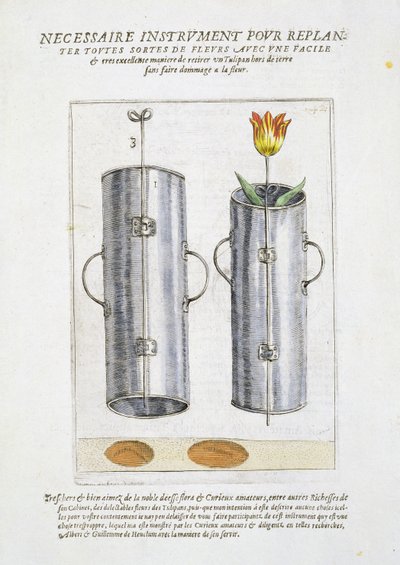 Dispositif pour replanter des fleurs, de 