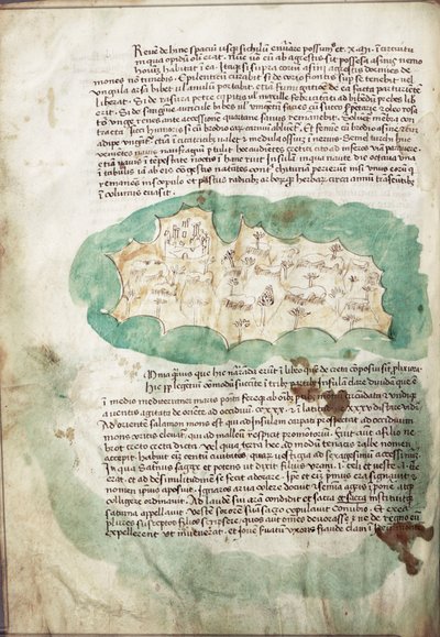 Carte d