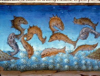 La fin du monde : les poissons flotteront en surface (c.147r). 1476 - Cristoforo De Predis