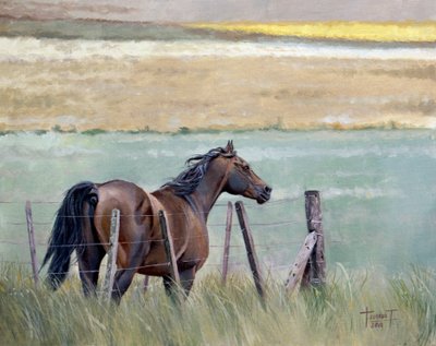 Rêves de liberté, 2010 - Cruz Jurado Traverso