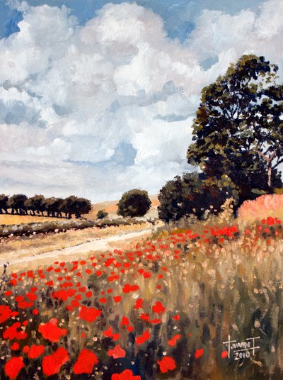 Coquelicots sauvages, Hertfordshire, 2010 - Cruz Jurado Traverso