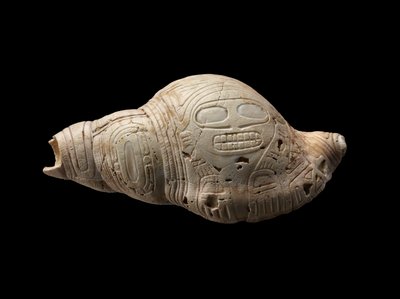 Coquille sculptée - Culture Taino