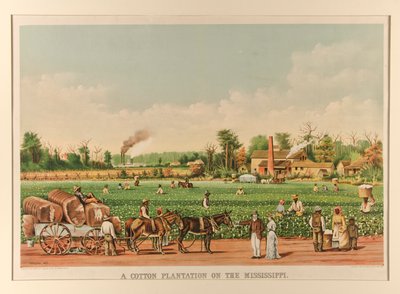 Une plantation de coton sur le Mississippi - Currier and Ives