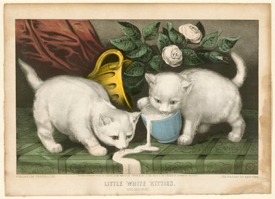 Petits chatons blancs en train de faire des bêtises - Currier and Ives