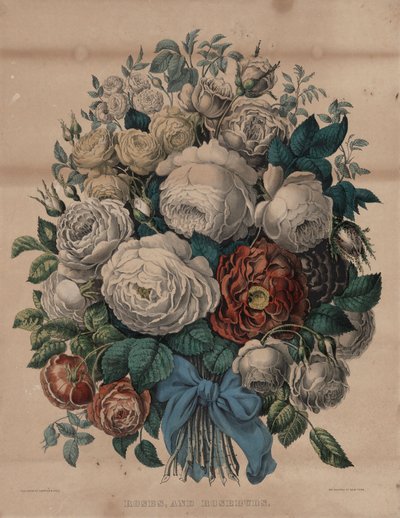 Roses et boutons de rose - Currier and Ives