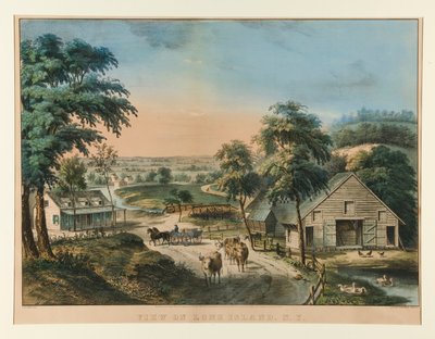 Vue sur Long Island, N.Y. - Currier and Ives